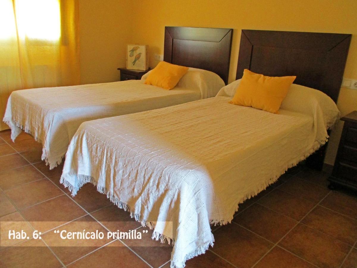 Casa Rural El Nidal Casas de Don Pedro 외부 사진