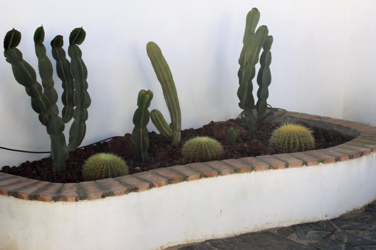 Casa Rural El Nidal Casas de Don Pedro 외부 사진