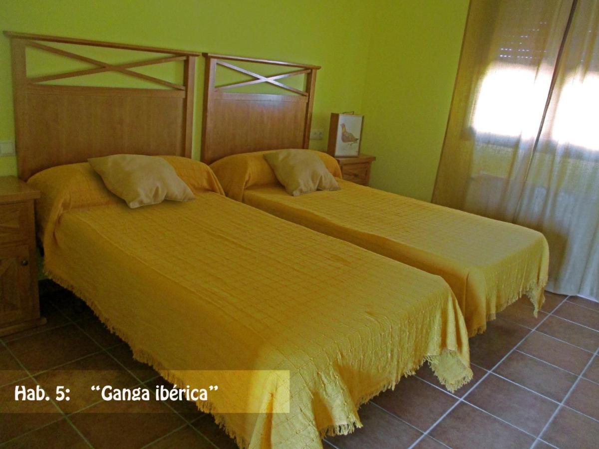 Casa Rural El Nidal Casas de Don Pedro 외부 사진